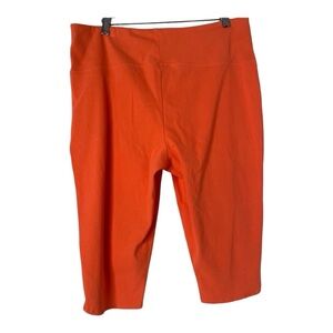 Women with control by Renee Greenstein stretch shorts size LP